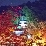 2015  京都 嵐山 永観堂 紅葉